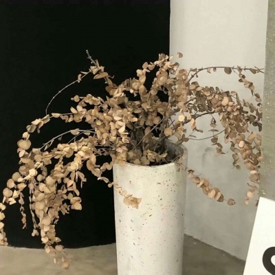 兽设黎明场景创作兽圈社群